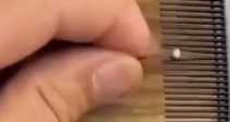 【動画】金槌で釘を打つときに指を痛めない方法